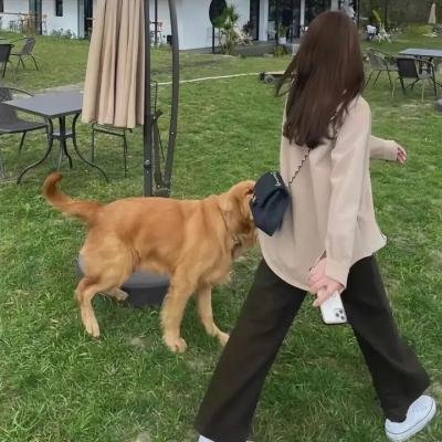 我的左手右手