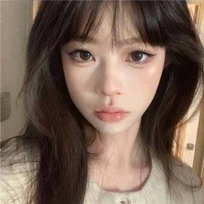 征服北极的人